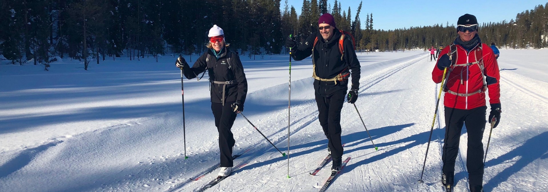 Cross country skiing in Lapland