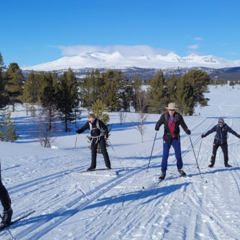 Skiing in action on the track in Rondane.