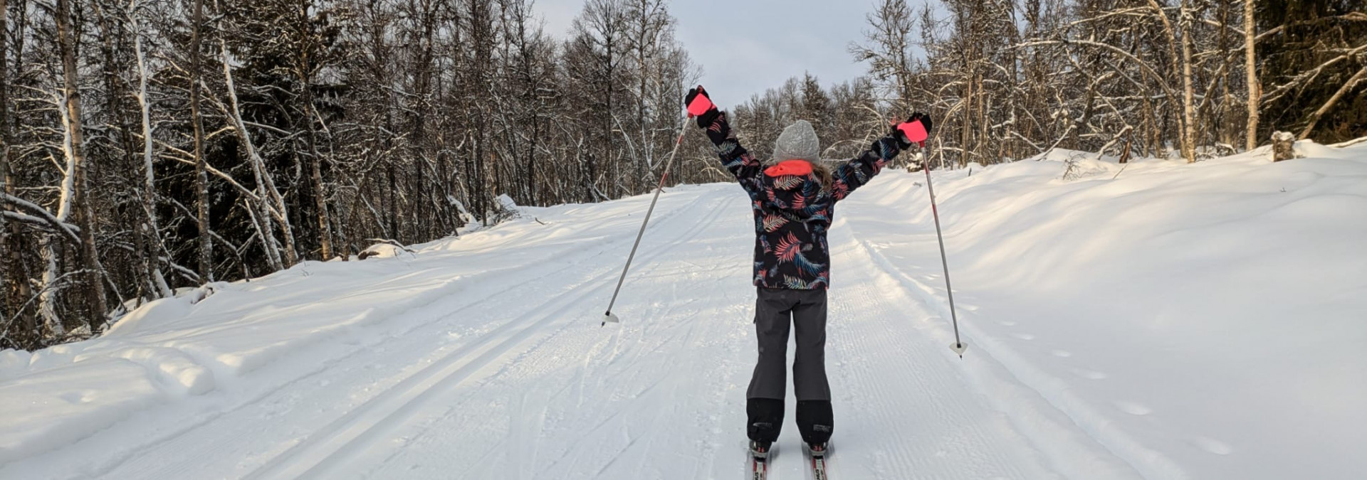 Mastering Cross-Country Skiing