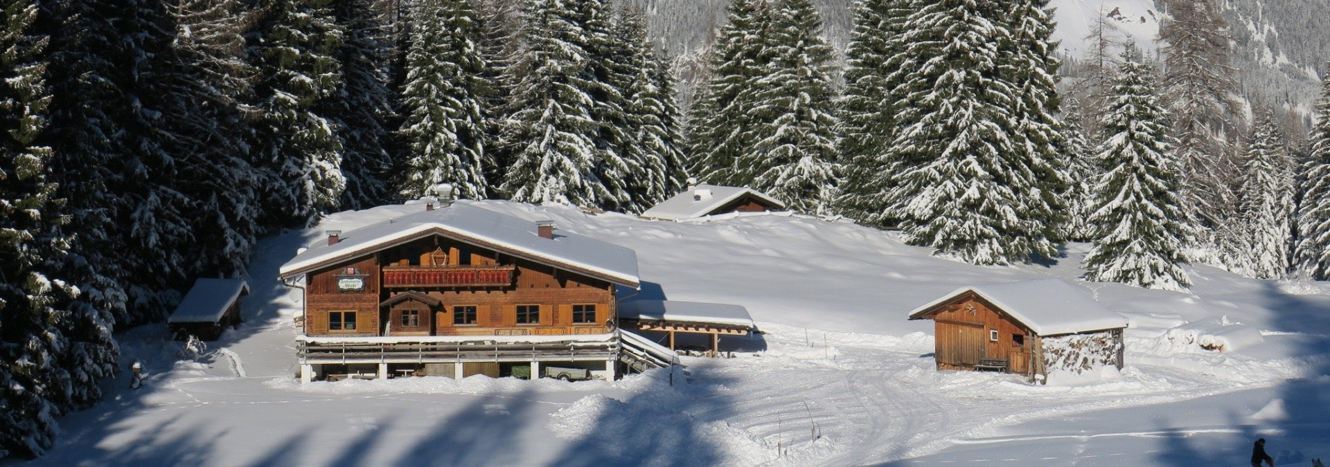 Snowshoeing in the Austrian Alps