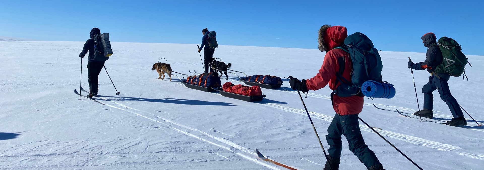 Setting off across the Finmarksvidda in Arctic Norway.