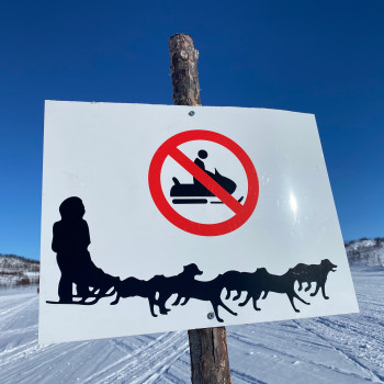 Dogs only on this ski track!