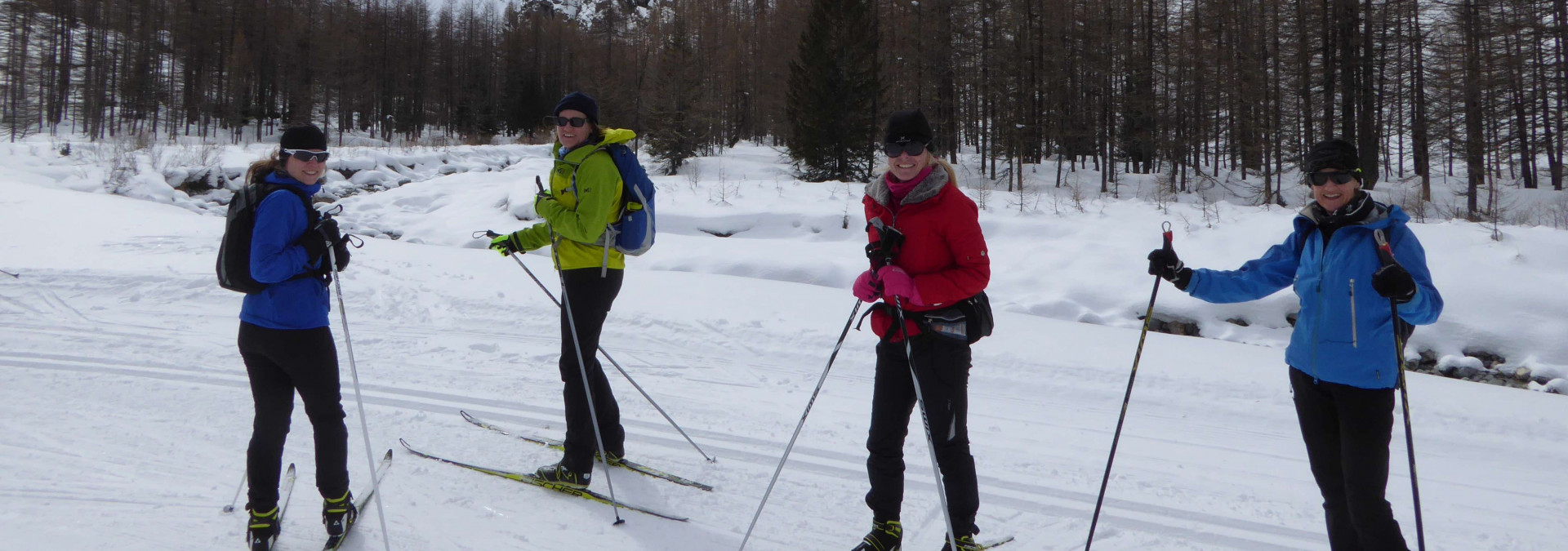 Swiss Skate Ski